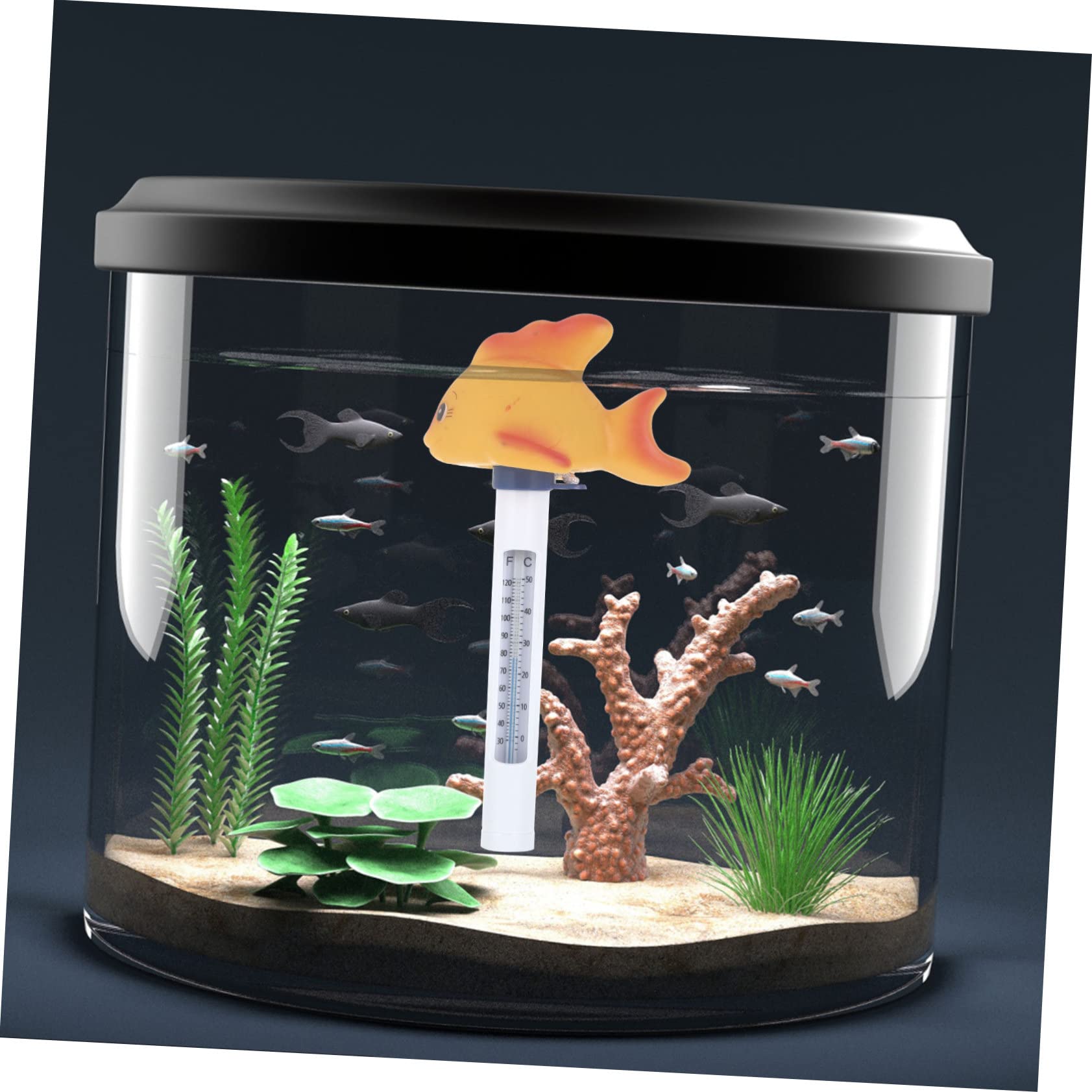 BESPORTBLE 3 Pièces Thermomètre Jouets D'extérieur Piscine Flottante De Dessin Animé Bain Piscine Gonflable Étang Jouet D'extérieur Jouets Pour Bébés Plastique Bouée Avec Échelle