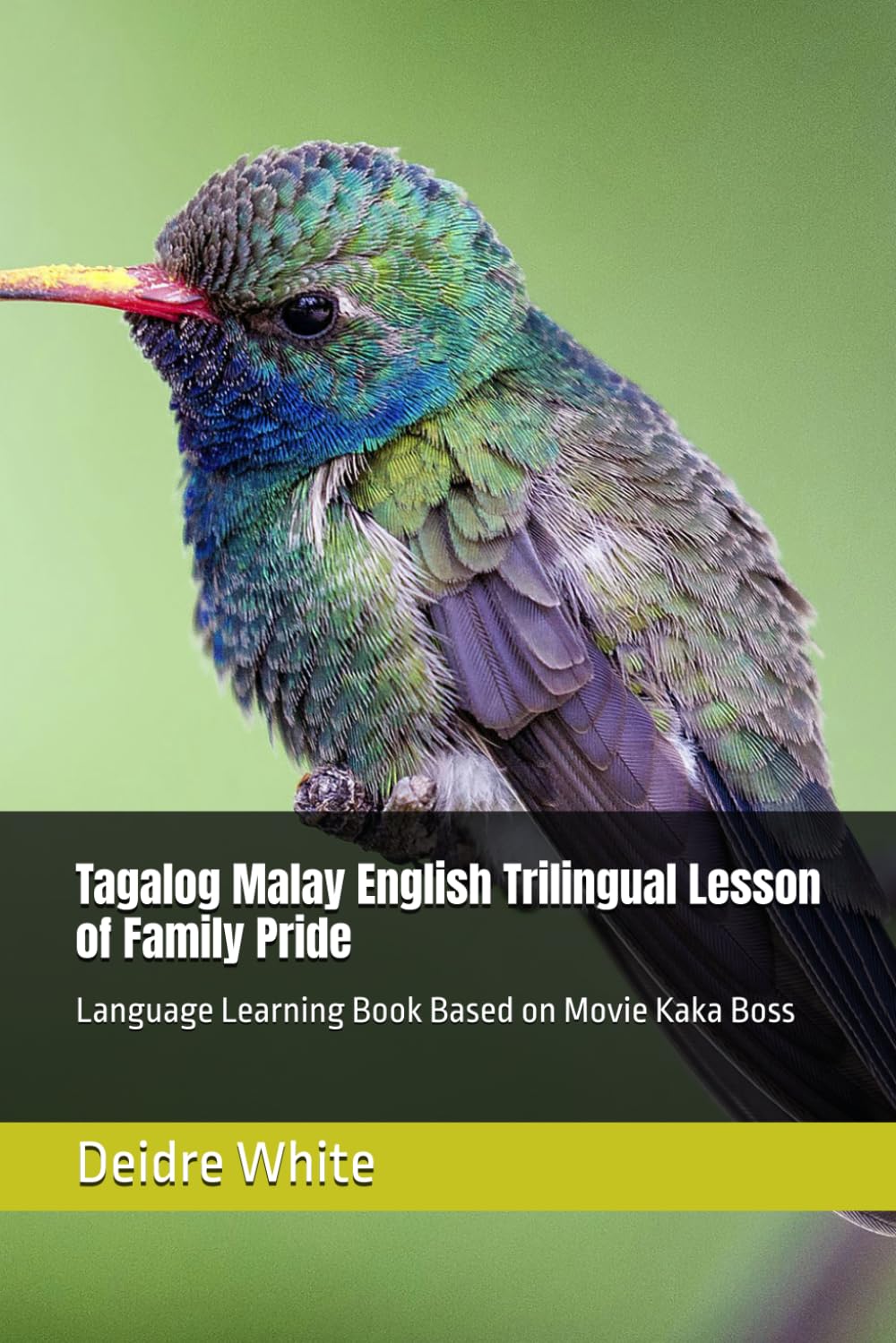 Tagalog Malay English Trilingual Lesson of Family Pride: Language Learning Book Based on Movie Kaka Boss