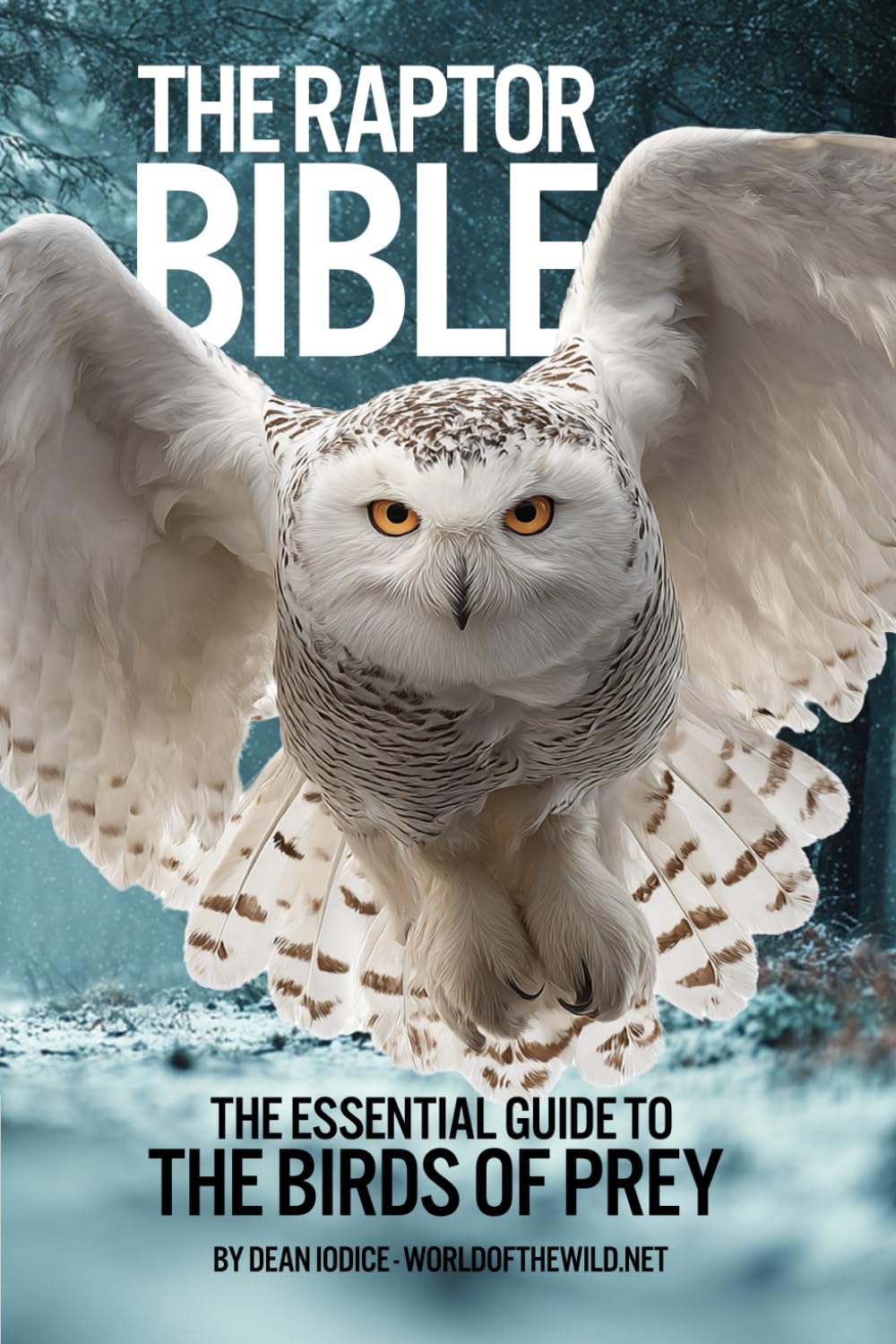 The Raptor Bible: The Essential Guide to the Birds of Prey