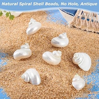 貝殻の装飾品 白色と薄紫色 貝殻の装飾品 白色と薄紫色