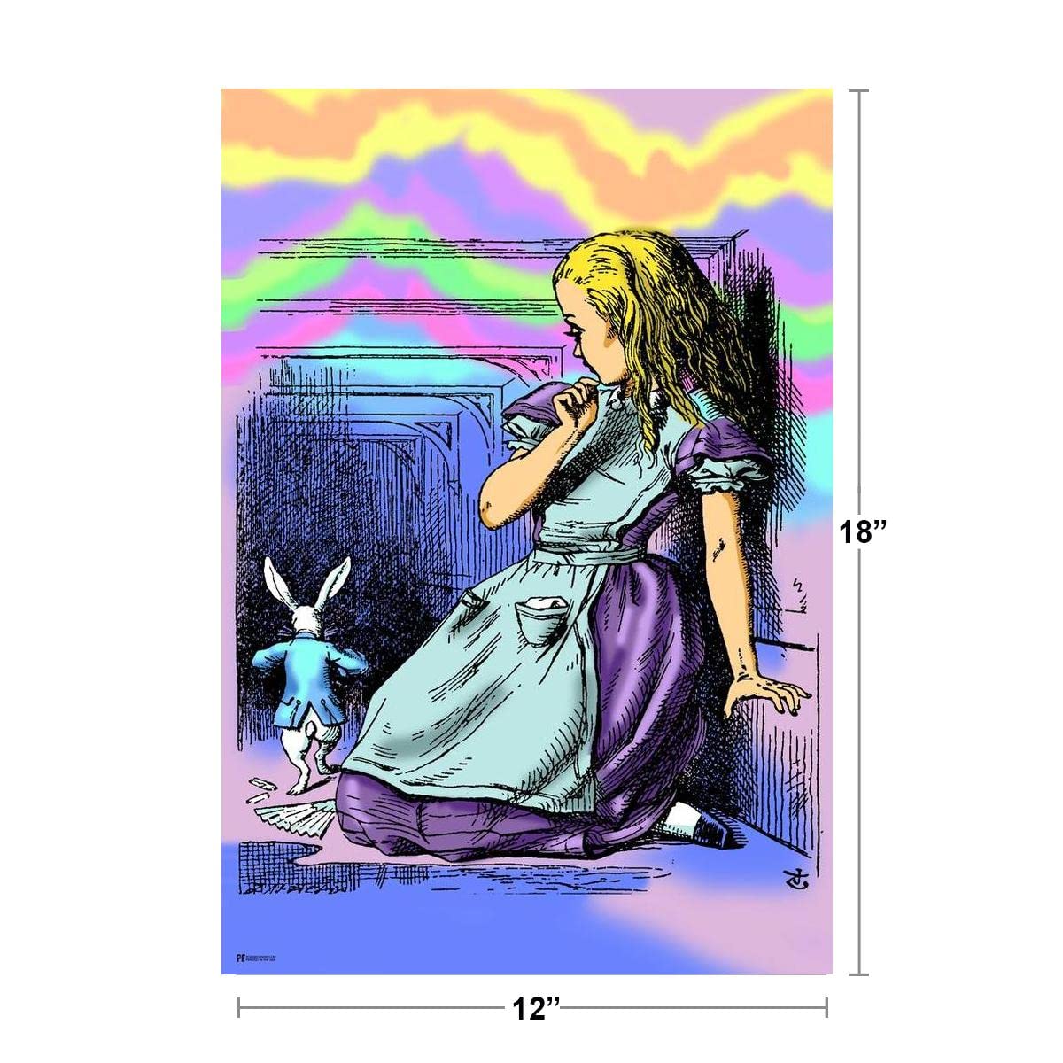 Amazon.com: Large Alice In Hall Wonderland Through the Looking