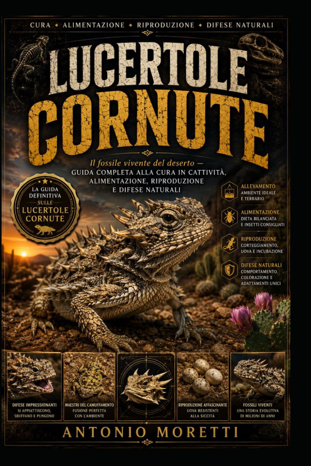 LUCERTOLE CORNUTE: Il fossile vivente del deserto — guida completa alla cura in cattività, alimentazione, riproduzione e difese naturali
