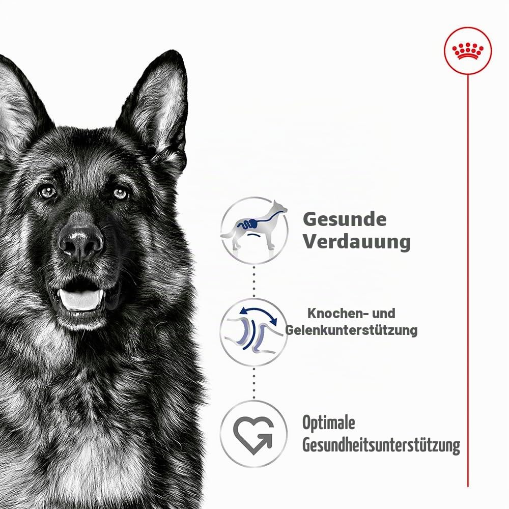 Royal Canin Maxi Adult | 12 x 410 g | Alleinfuttermittel für ausgewachsene große Hunde (26-44 kg) | Nährstoffreiche und ausgewogene Feuchtnahrung mit hochverdaulichen Proteinen