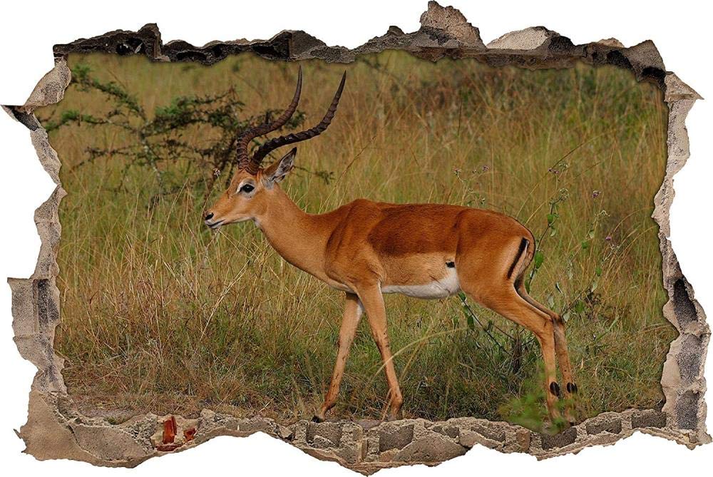 Wall Stickers 3D Kids Wall Stickers Decals Peel and Stick Removable Beautiful Dorcas Gazelle in The Savannah for Nursery Bedroom Living Room Art murals Decorations 50x70cm