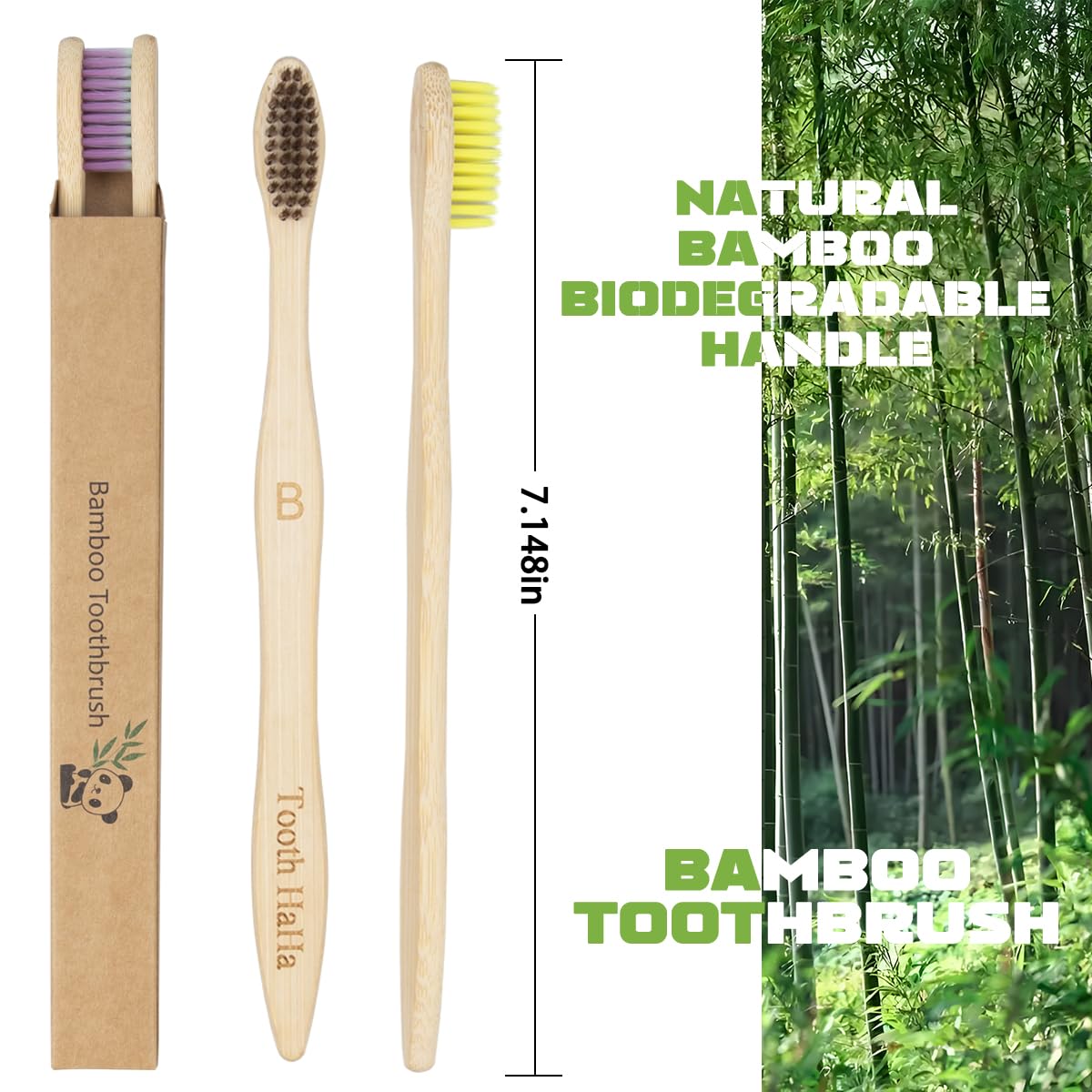 10 cepillos de dientes Banboo ecológicos y biodegradables para adultos | Juego de cepillos de dientes de viaje de madera orgánica vegana con embalaje reciclable | Diseño ligero y ergonómico