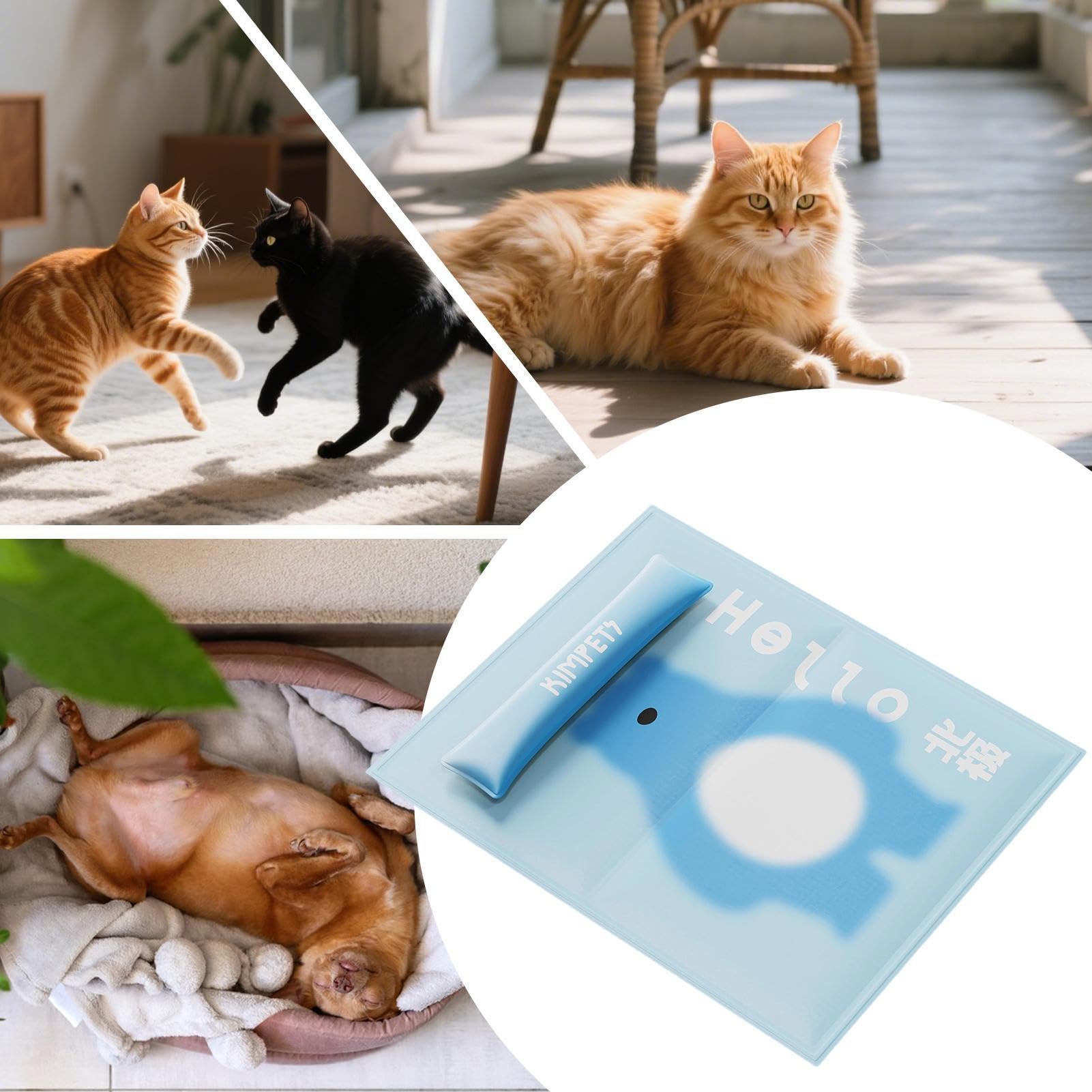 Tappetino refrigerante per cani, poggiatesta rimovibile, cuccia per animali domestici, per gatti, cuccioli, estate, all'aperto, caldo, campeggio, spiaggia,