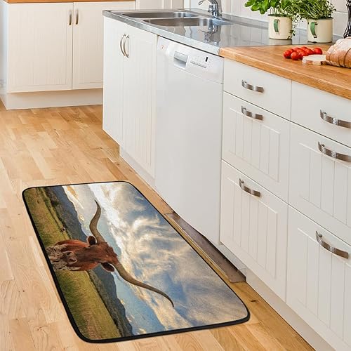 Miniatura 6 de Longhorn Steer - Tapetes de cocina acolchados antifatiga, antideslizantes, lavables, para el hogar, oficina, fregadero y lavandería, 39 x 20 pulgadas