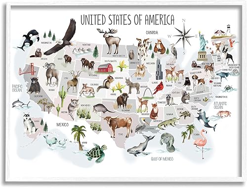 Stupell Industries Estados Unidos de América mapa de animales ilustración infantil, diseñado por Studio Q - Arte de pared enmarcado en blanco, 16 x