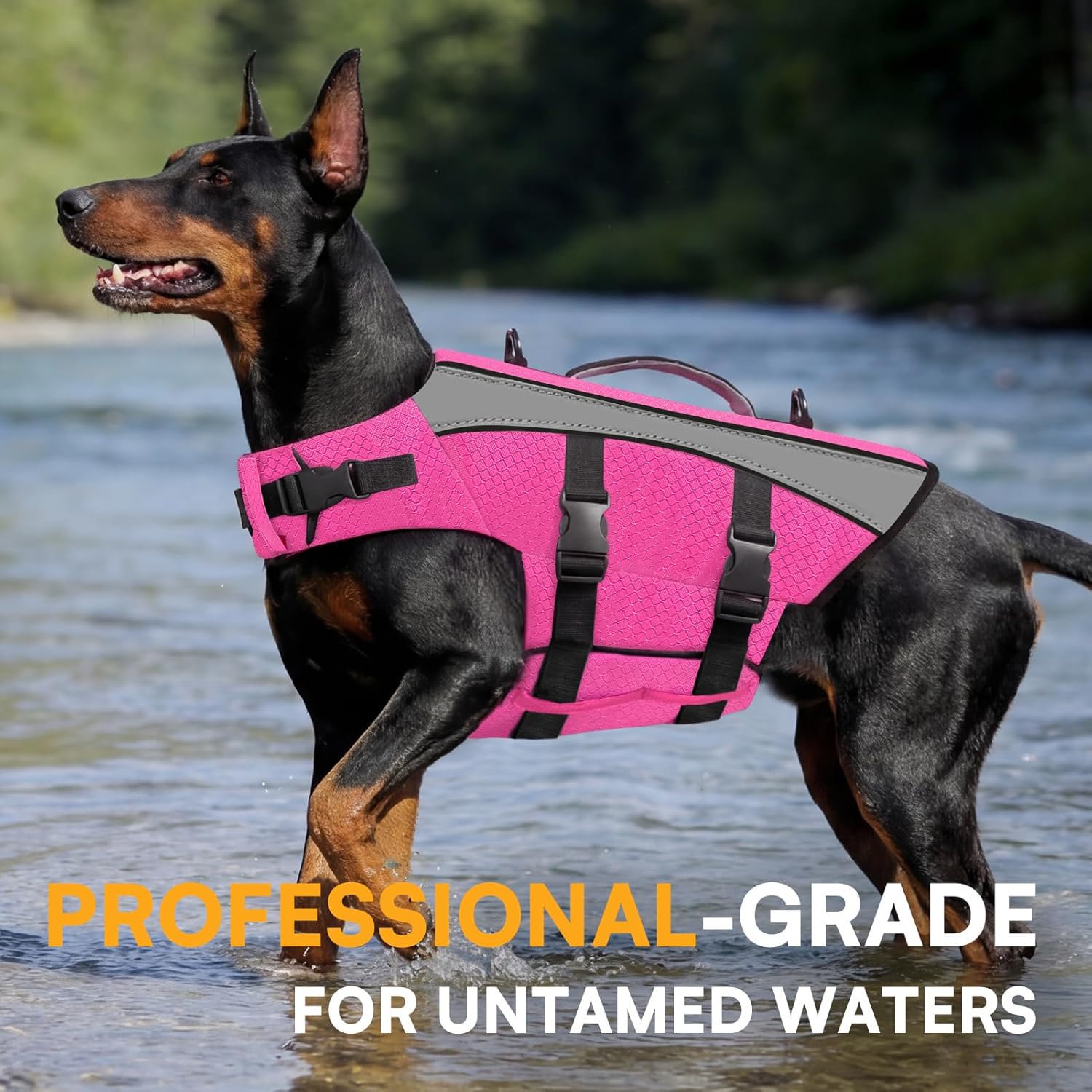 Queenmore Dog Life Vest for Swimming Boating, Adjustable Medium Dog Lifejacket with Durable Rescue Handle, Puppy Life Vest with Enhanced Buoyancy for Swimming Pool Beach Boating, Rose Red, M