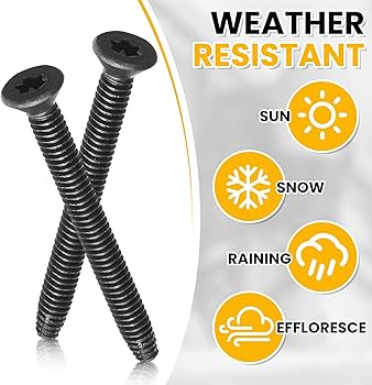 RUFFLOG×TAINDOUBLEPUSH Amazon.com: Blulu 200 Pcs 1/4-20 x 2-1/2