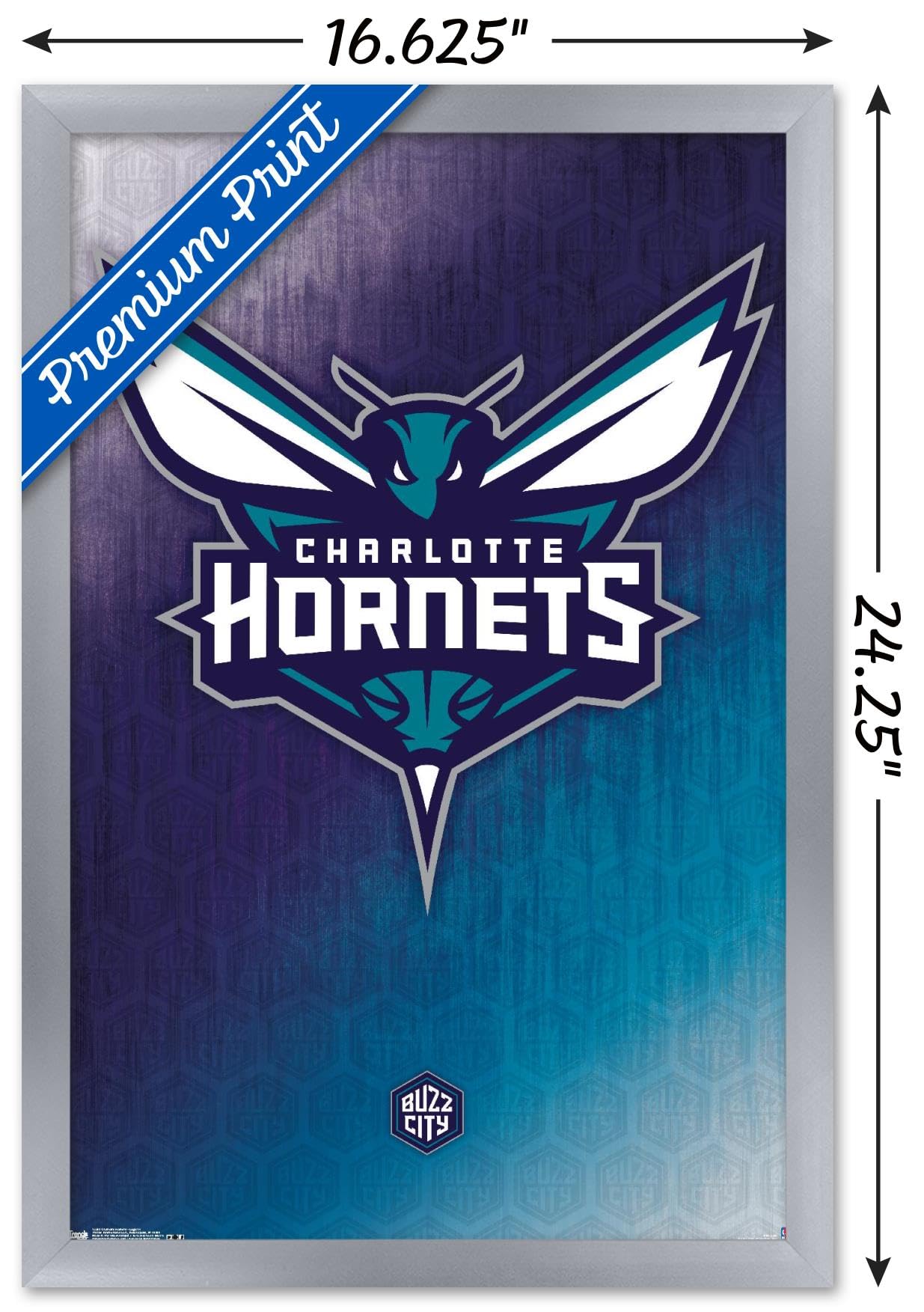 Amazon.com: Trends International NBA Charlotte Hornets - Logo 14