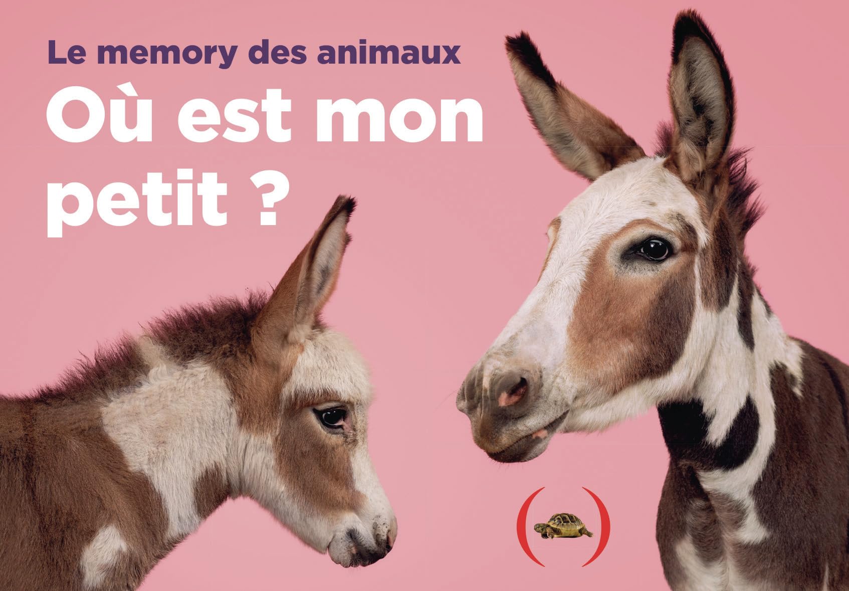 Où est mon petit ?: Le memory des animaux