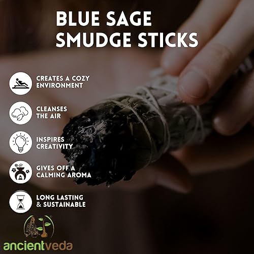 Miniatura 4 de Ancientveda Essential Sage - Paquete de 3 ramas aromáticas