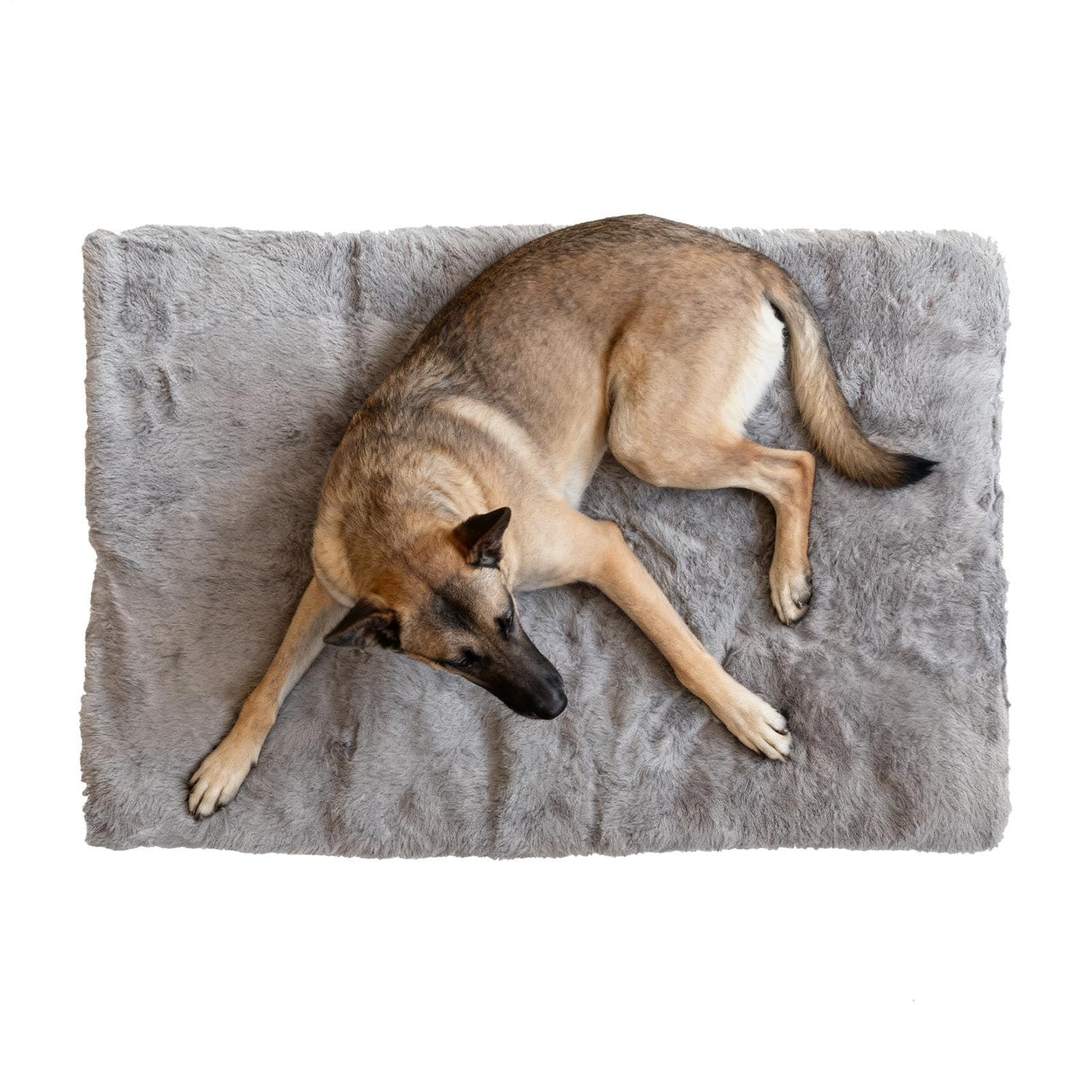 Cuccia Calda Per Cani Comfortevole Grande Cuscino Antiscivolo per Animali | Materassino Da Per Gabbia E Cuccia Per Casa Dormitorio Appartamento Camera Da Soggiorno