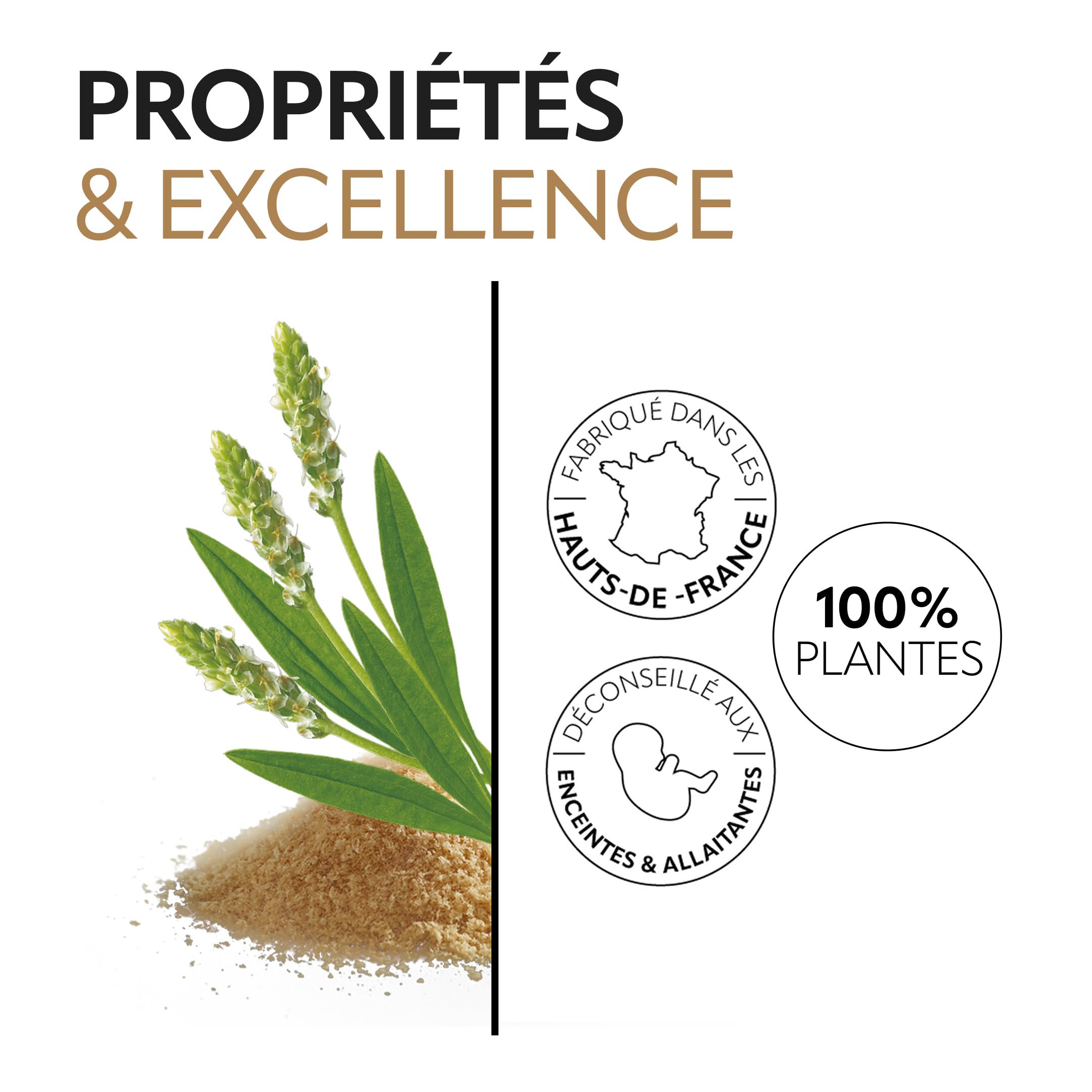 HERBESAN®- PSYLLIUM BLOND BIO - Transit naturel, Bien-être digestif- Fabriqué en France- Sachet papier refermable - Téguments 200 g