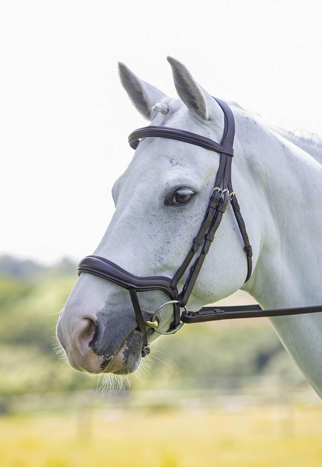 Shires Velociti Ergonomic Flash Bridle