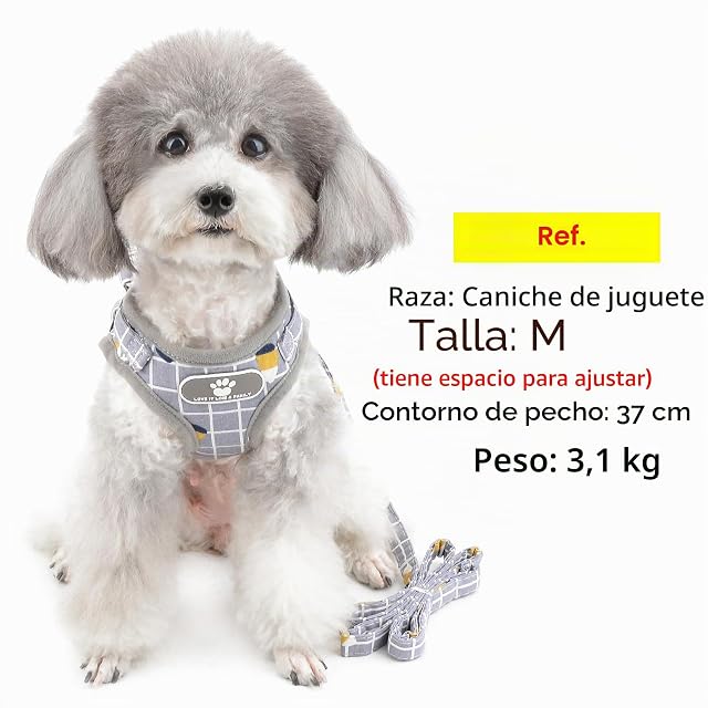 Foto 5 de 8 de Zunea Arnés Perro pequeño con Correa