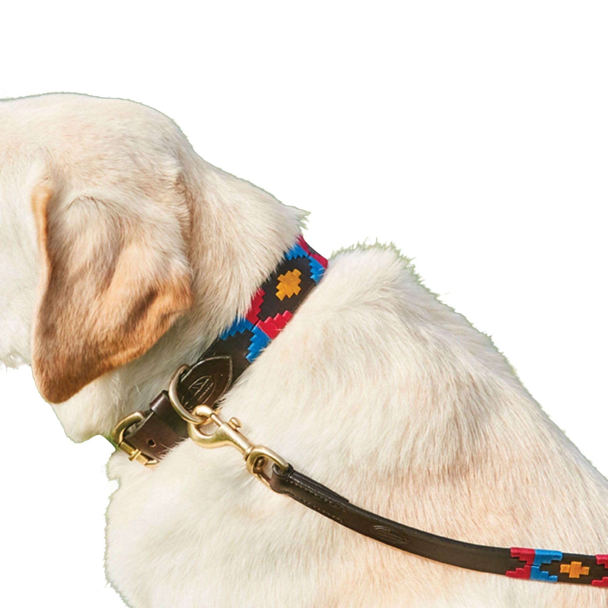 WeatherBeeta Polo Leather Dog Collar, Beaufort Brown/Emerald/Pink/Bl, Xxlarge - Image 3