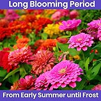 Vista 6 de NatureZ Edge Semillas de zinnia para plantar al aire libre 2026, más de 1600 semillas de flores, 0.35 onzas, sin OMG, fabricadas en Estados Unidos