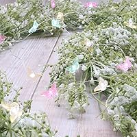 Vista 7 de Cadena de luces de mariposa para jardín, 10 pies y 40 luces LED, alambre de cobre con control remoto y temporizador para patio, terraza, cumpleaños