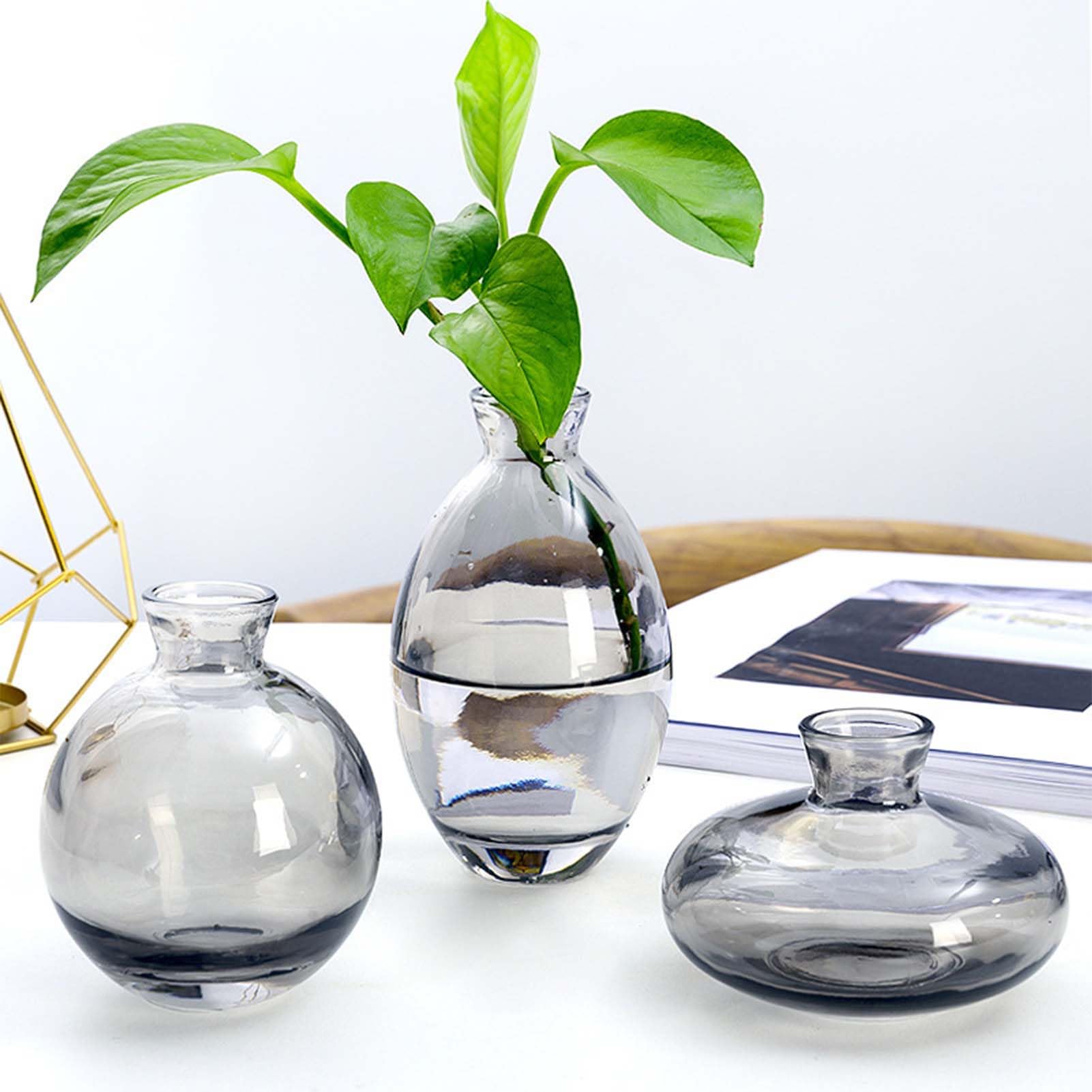 Glasseam Vasi di Vetro Piccoli per Decorazione: Vaso di Vetro Grigio