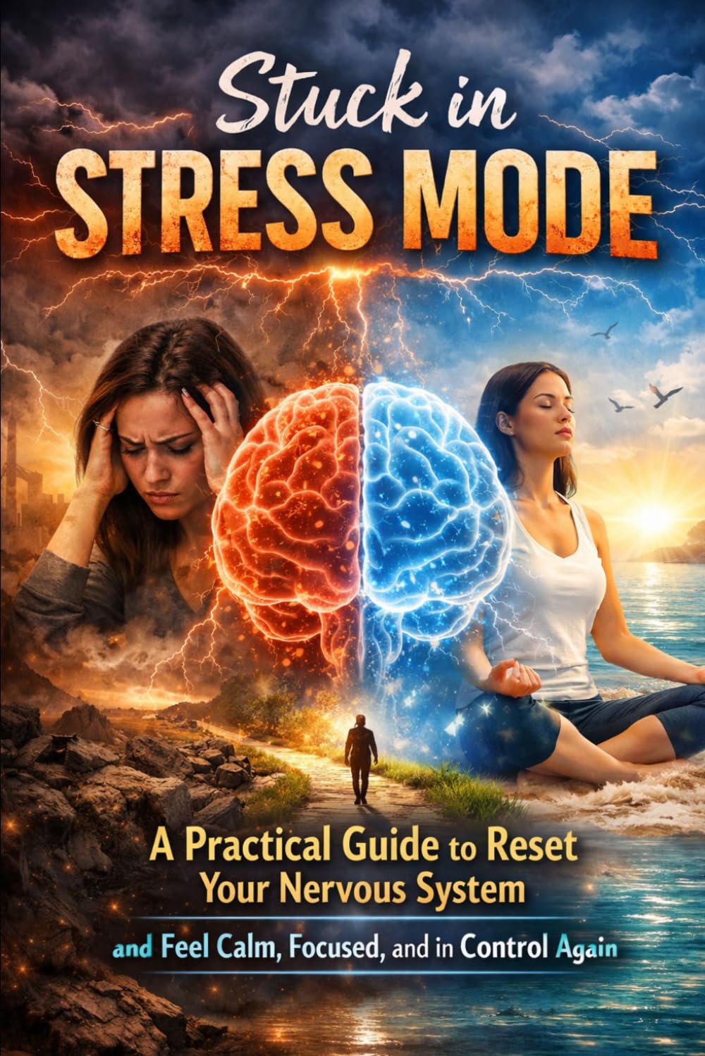 Stuck in Stress Mode: A Practical Guide to Reset Your Nervous System and Feel Calm, Focused, and in Control Again