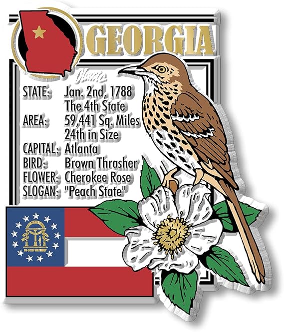 Georgia Six-Piece State Magnet Set by Classic Magnets, Includes 6 Unique Designs, Collectible 3D Rubber Vintage-Style Souvenirs and Gifts Made in the USA