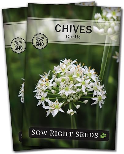Sow Right Seeds - Garlic Chives Seeds for Planting - Non-GMO Heirloom Packet with Instructions to Plant and Grow a Kitchen Herb Garden - Indoor or