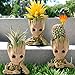 ZEshops Fairy Garden Groot Flower Pot with Hole Figurine PVC Statue Groot in for Penholders,Succulent, Air Plants, Pen Holder Home Decor (Groot with Hands Folded Under Chin)