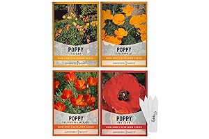 Poppy Seeds for Planting Outdoors - Flower Seeds 4 Variety Pack