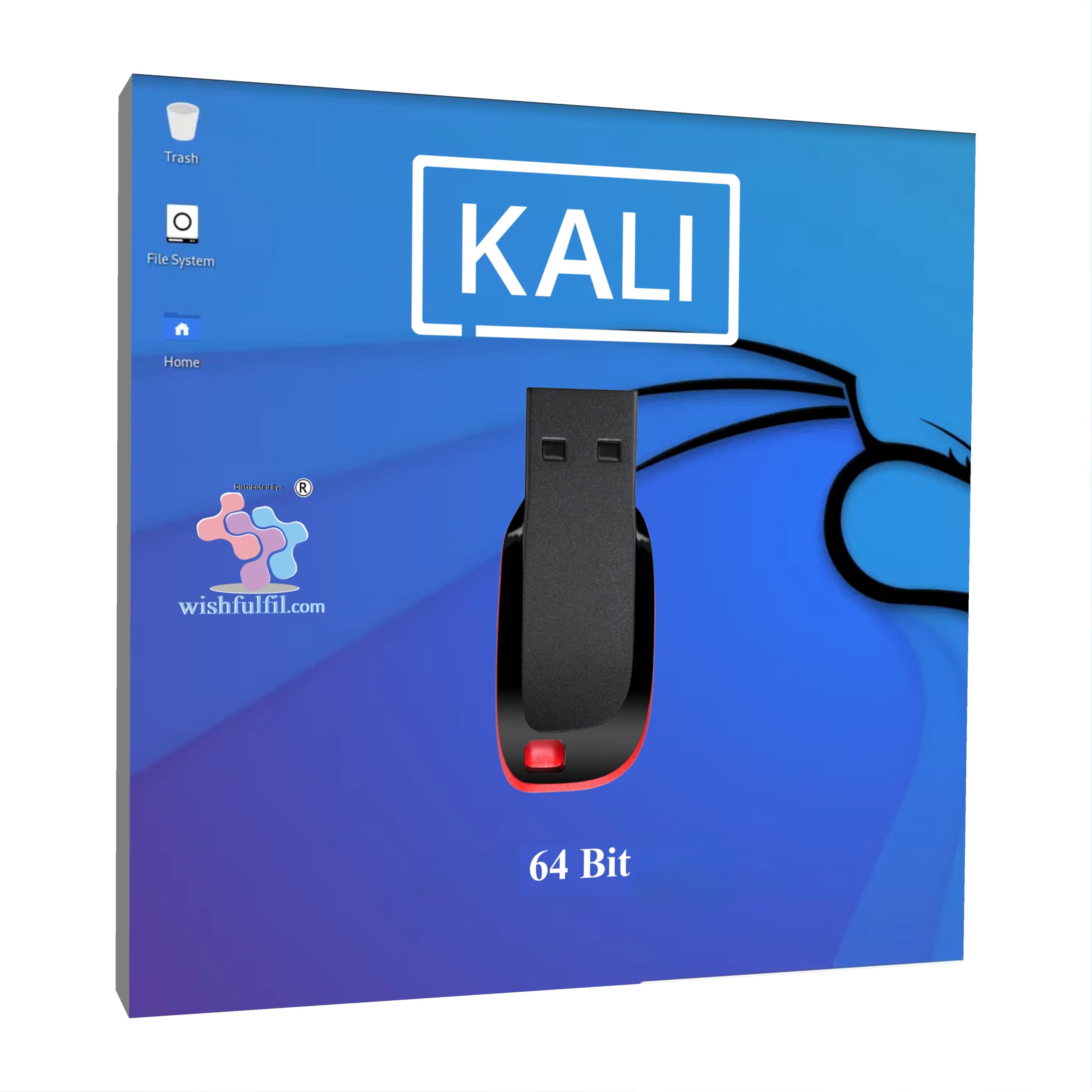 wishfulfil kali linux 2025 xfce 64 bit live bootable 32gb usb pen drive