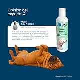 Ver la foto 8