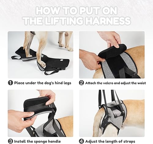 Miniatura 6 de Arnés de elevación para perros, para perros pequeños, medianos y grandes, arnés de apoyo para patas traseras, arnés acolchado suave ajustable para