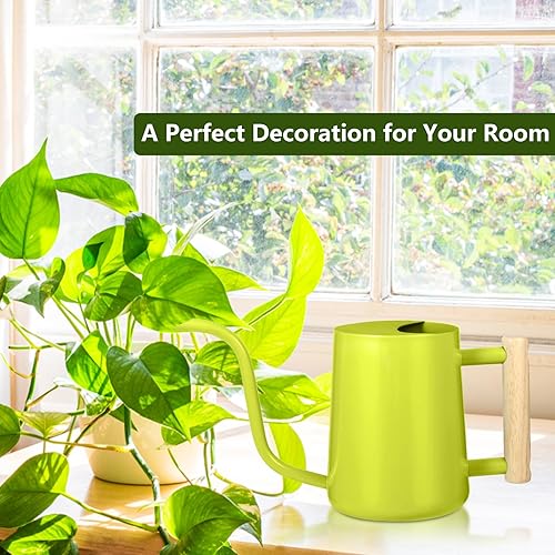 Miniatura 10 de Regadera para plantas de interior, regadera pequeña de 35 onzas, regadera de metal de acero inoxidable, moderna maceta decorativa con boquilla larga