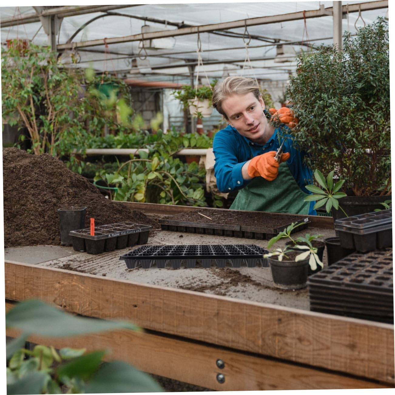 VALICLUD 10pcs Thickened Plant Germination Trays Starter Seedling Nursery Containers 50-Cell Planting Boxes for Garden Seed Propagation and Vegetable Growing