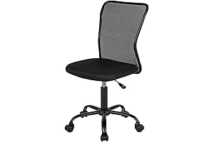 FDW Simple Desk Chair for Office or Home