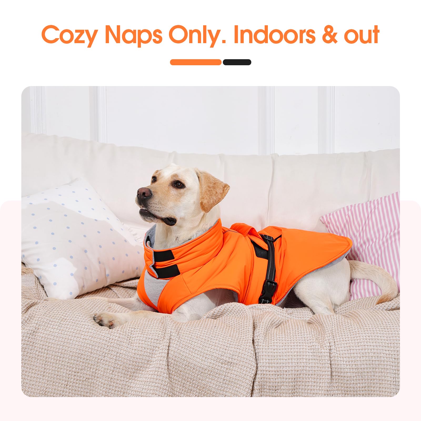 Abrigos para clima frío para perros