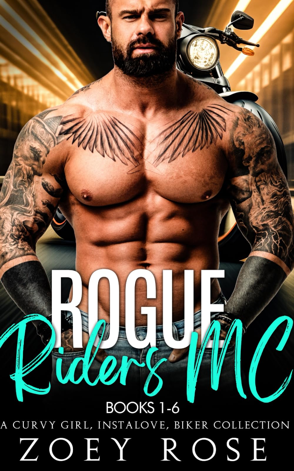 Rogue Riders MC Books 1-6: A Curvy Girl, Instalove, Biker Collection