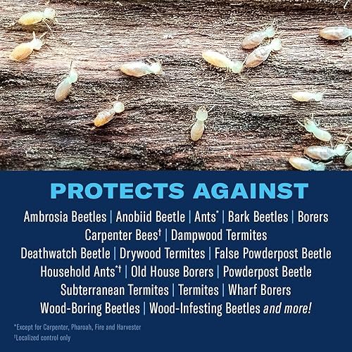 Miniatura 2 de Bayer Advanced espuma plus para matar termitas y abejas