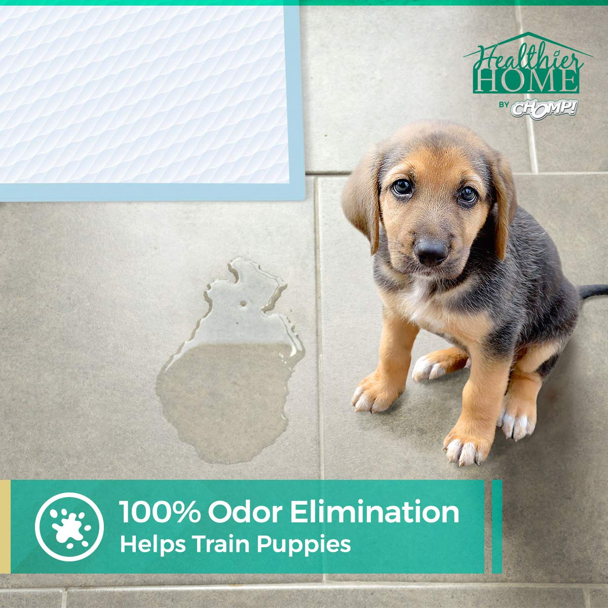 Amazon.com: CHOMP! Pet Odor Eliminator Spray: Hardfloor Cleaner