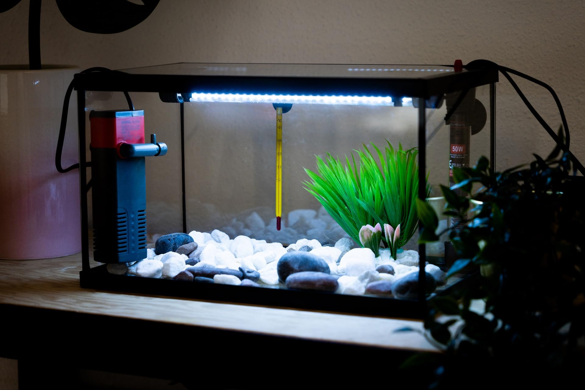 Acuario Cristal con Marco Negro 38 L. Kit Completo (XIL)