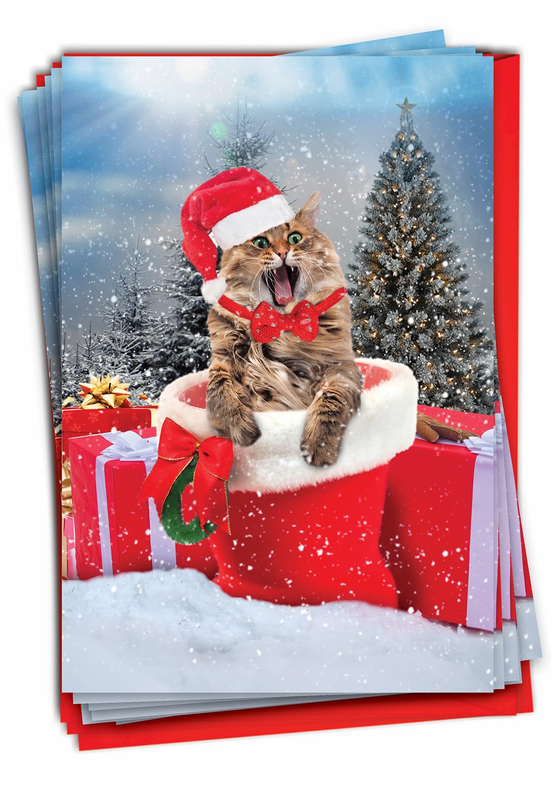 The Best Card Company C3195FXSG-B12x1 Lot de 12 cartes de vœux de Noël avec enveloppes Motif chaton dans une botte (11,9 x 17 cm)