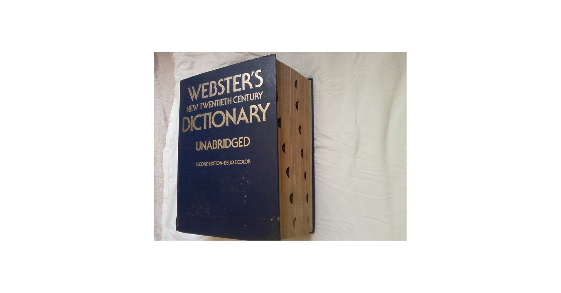 Webster's New Twentieth Century Dictionary (Unabridged) from