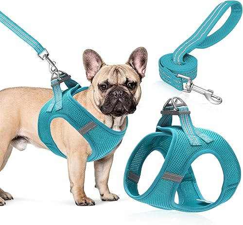 Juego de arnés y correa para perro, arnés de chaleco para perro para gatos y cachorros, arnés reflectante para mascotas sin tirones para perros