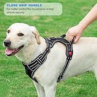 Vista 5 de No Pull Dog Harness Adjustable Reflective Oxford Easy Control Medium Large Dog Harness with A Free Heavy Duty 5ft Dog Leash Black Harness+Leash