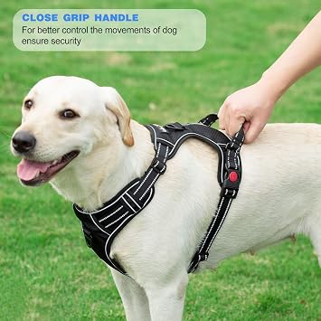 tobeDRI No Pull Dog Harness Adjustable Reflective Oxford Easy Control Medium Large Dog Harness with A Free Heavy Duty 5ft Dog Leash, Pink/Blue, L