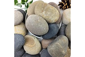 Premium Landscape Rocks for Backyard Enhancement
