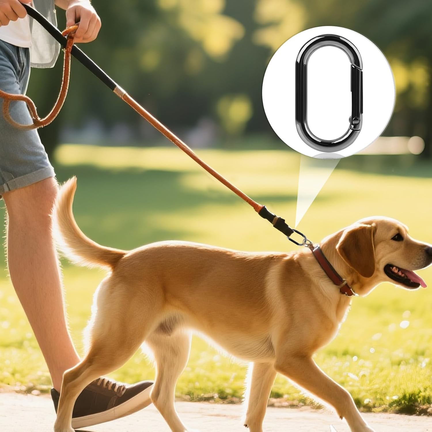 Gopal Small Carabiner Clip 12Pcs: Tiny Oval Clasp Carabiners - Spring O Ring Hook Chain Connector - Mini Purse Keychain Clips Replacement, Multi-use for Bag Dog Tag Paracord Lanyard - Image 5