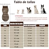 Ver la foto 2