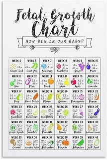 How Big Is Our Baby Fetal Growth Chart Poster Baby Growth Poster style 12x18inch(30x45cm)